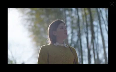 Another Side of Japan screenshot