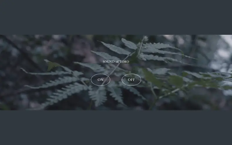 瀞 toro — Dorokyo Gorge screenshot